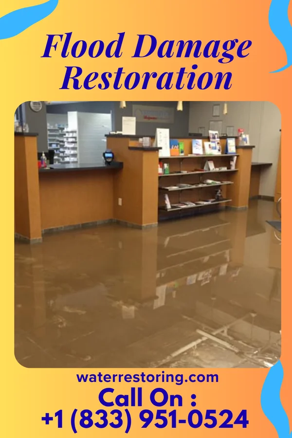 Flood Damage Restoration in Boulder Hill, IL