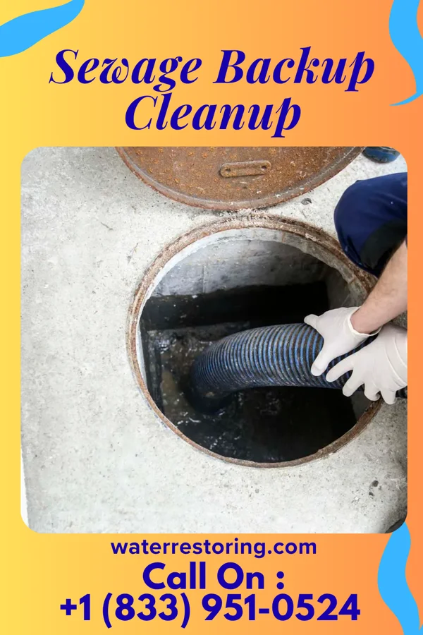 Sewage Backup Cleanup in Boulder Hill, IL